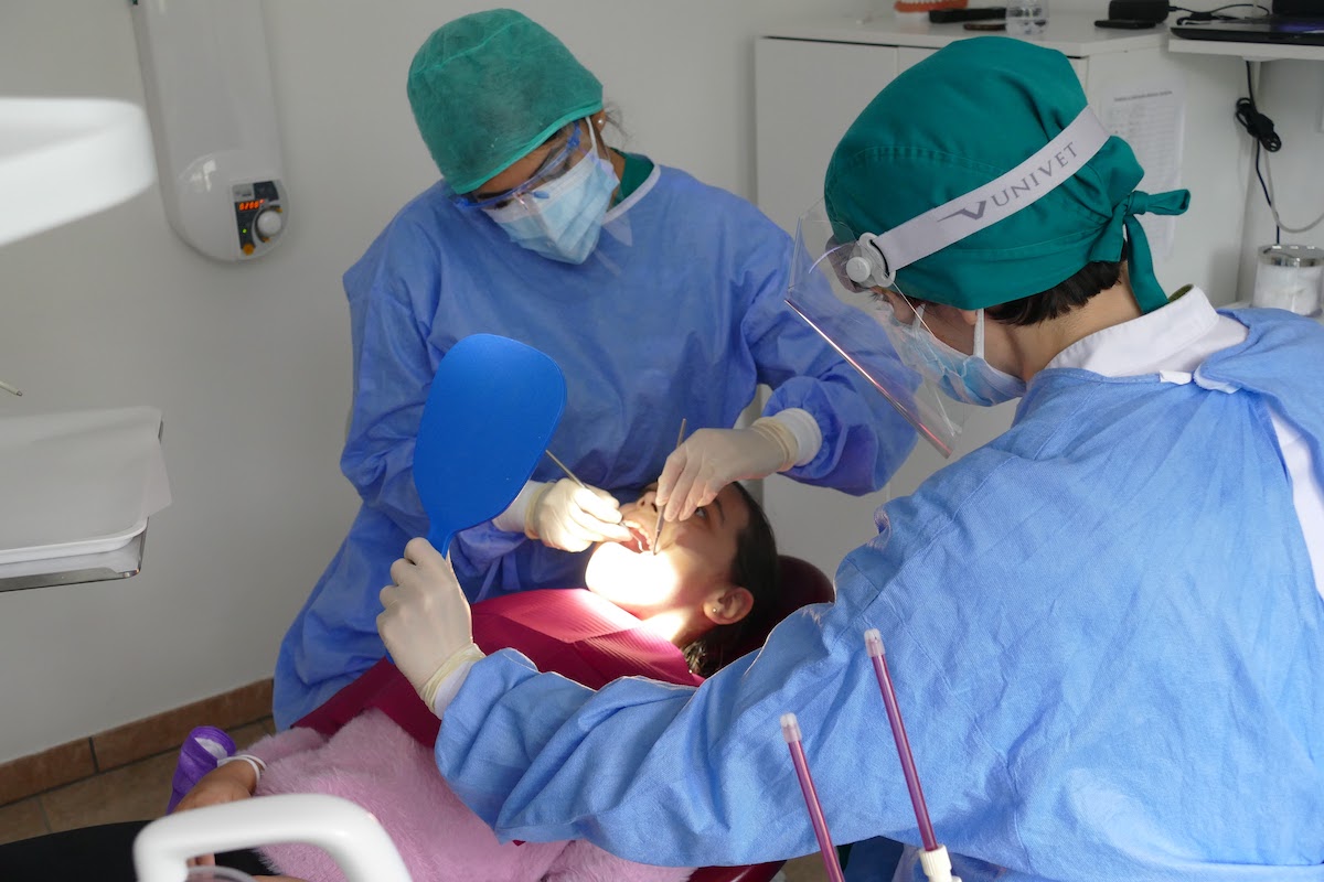 Dentista dei Bambini a Bologna